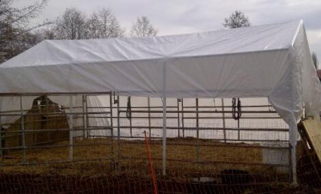 Build a Great Lamb Pen – But Not Too Close Image